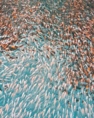 Tempat Wisata Watergong Klaten